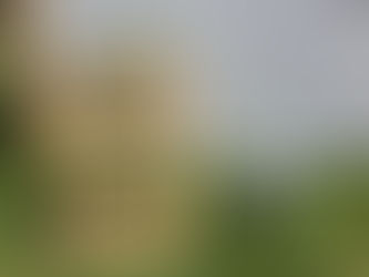 Jardinière à 3 étages