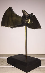 IMG_5710.jpeg