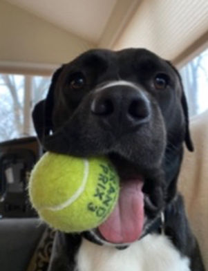 Beloved team mascot and official ball quality control inspector with an unmatched enthusiasm for tennis balls.