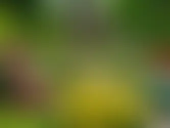 Expert Landscape Maintenance Services in Kolkata - GA Facility Management