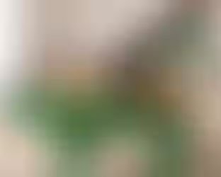 Vibratory Linear Conveyor Manufacturers – Bharath Engineering