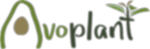 Logo Avoplant