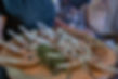 canepe shot.jpg