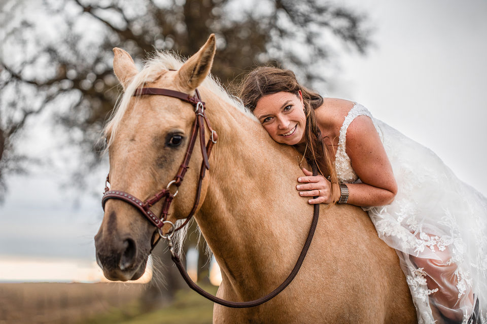 Pferdeshooting, Tierfotografin, Afterweddingshooting mit Pferd