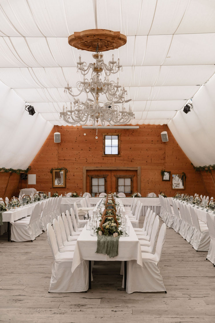 Hochzeitsfotografin in Niederösterreich, Hochzeitsfotografie Oberösterreich, Metzenhof in Kronstorf, Weddingphotographie