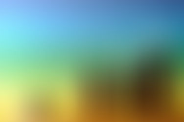 Best Cbd Oil In 2021 Is Top Rated By Experts