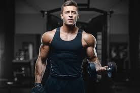 How To Use Quality Build Muscle Fast