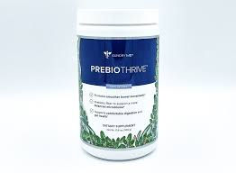 Why Using Best Prebiotic Products Is Important?