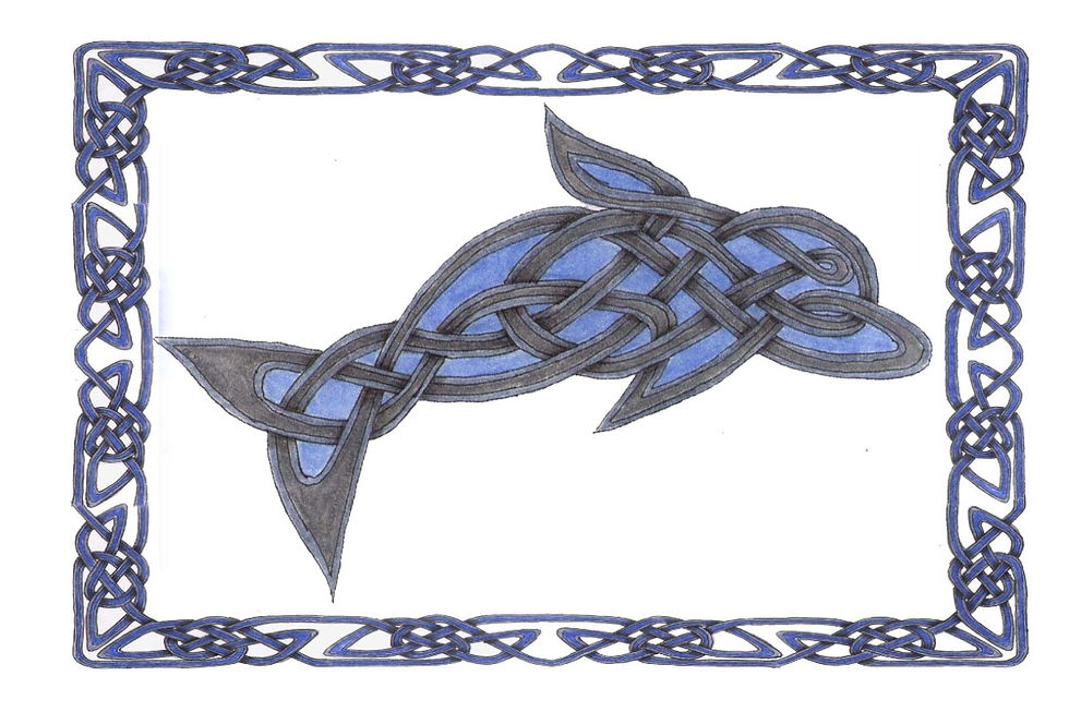 dophin