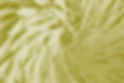 294026.jpg