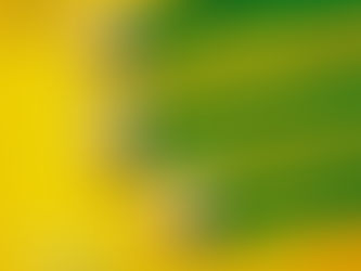 Vitamina C