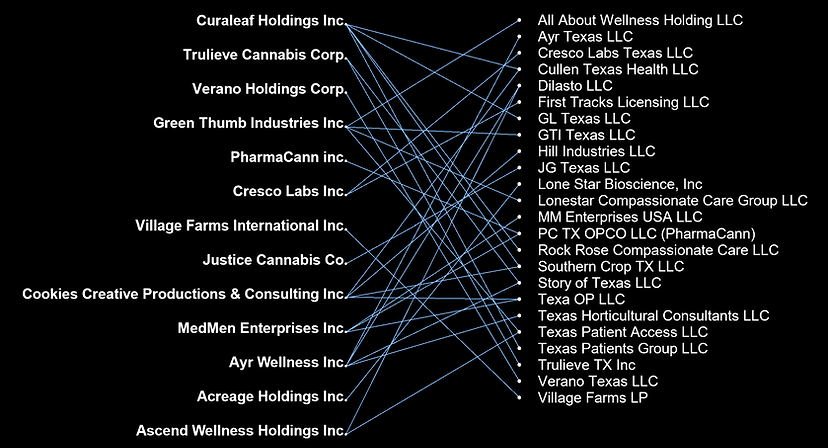 WEBSITE SPIDER WEB-SCRUBBED.png