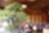 ImportedPhoto.754665933.963086.jpeg