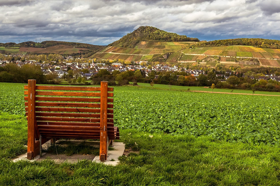Blick über das Ahrtal