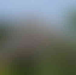 Agrigento Valle dei templi