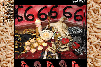 CARNE (ilustración por Kinki Stinky).jpg