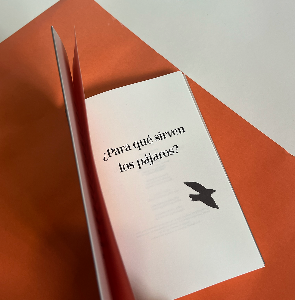 Miniatura: ¿Para qué sirven los pájaros?