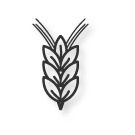 gluten-free-icon.png