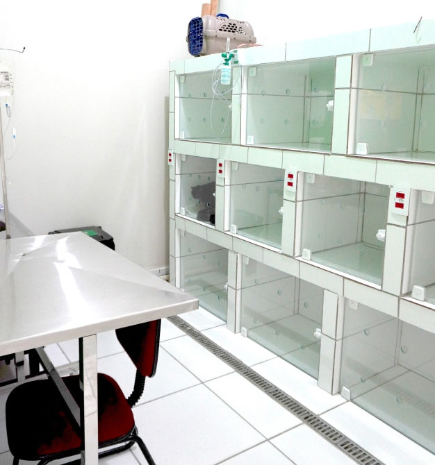 internação para animais em várzea paulista, jarinu, campo limpo