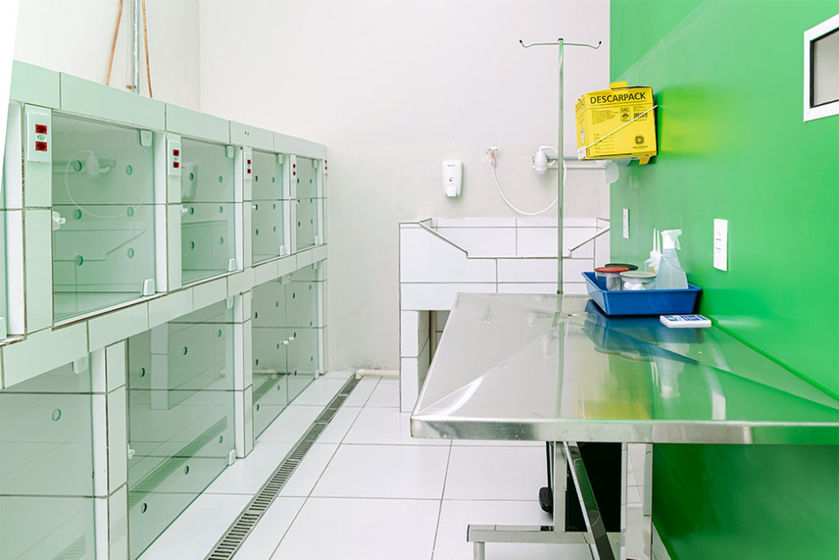 internação para cachorro em várzea paulista, jarinu, campo limpo