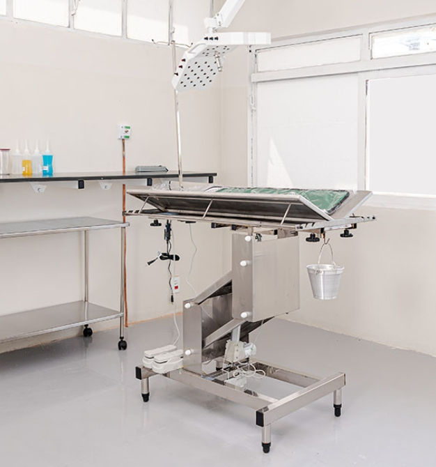 centro cirúrgico veterinário em várzea paulista, jarinu, campo limpo