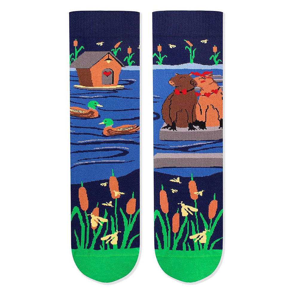 Pirin Hill, Arty Socks - In Love