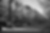 bg-bw-page_title.jpg