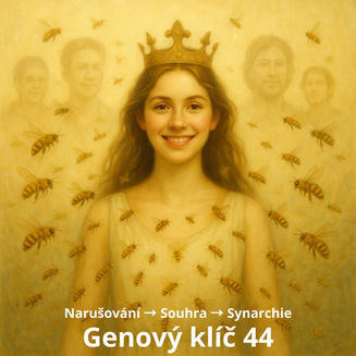 genový klíč 44