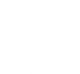 vector.png