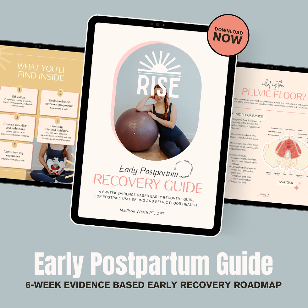 Thumbnail: Rise Early Postpartum Recovery Guide