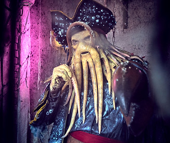 Davy Jones à son sosie, David le jaune