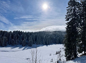 WhatsApp Image 2026-01-30 at 09.58.22 (3).jpeg