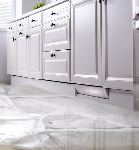 Water damage restoration company