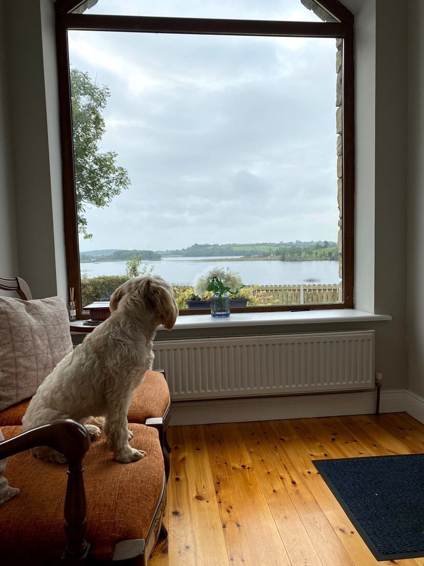 dog friendly, pet friendly, dog, view, leitrim, staycation, ireland, irish