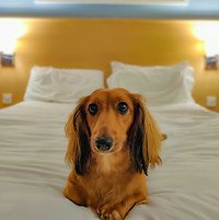 accommodations.jpeg