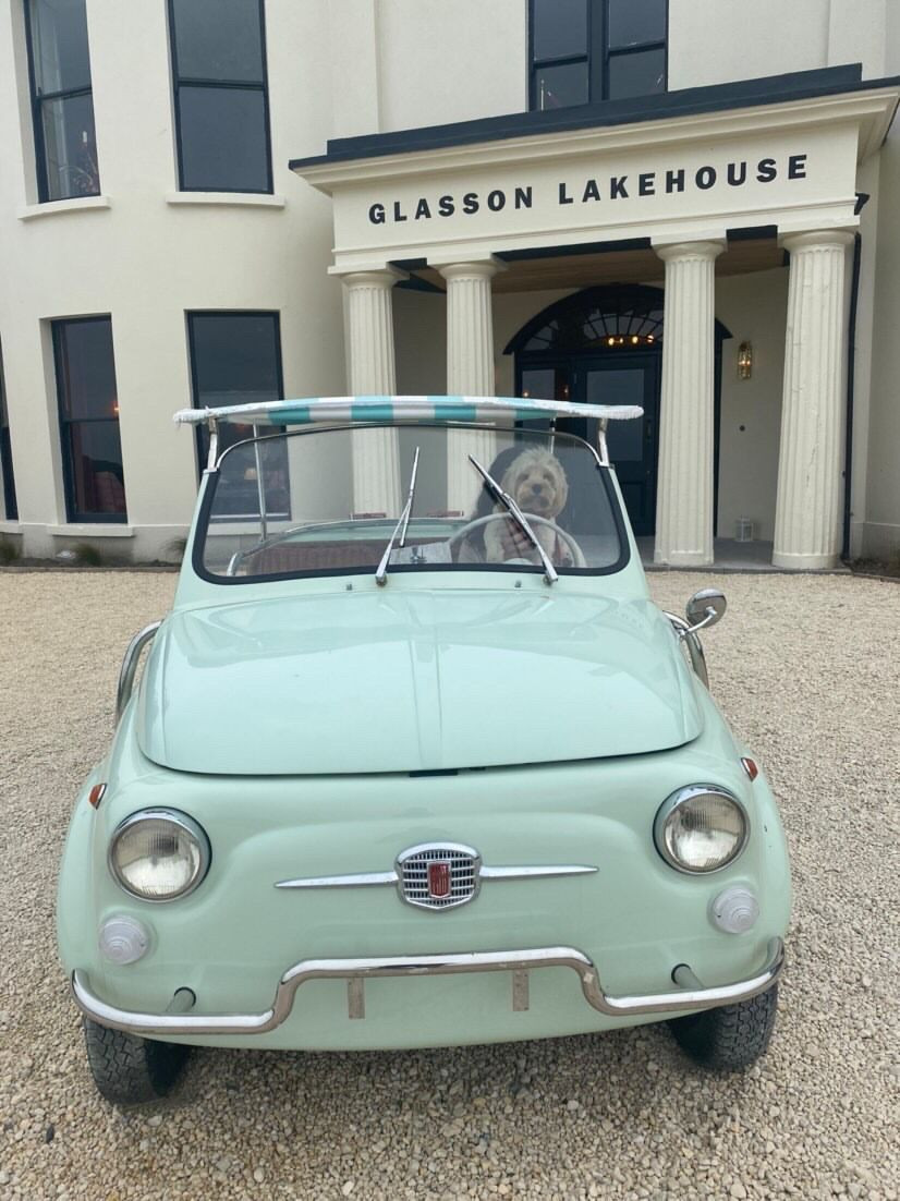 Glasson Lakehouse, dog, car, pet friendly hotel, athlone