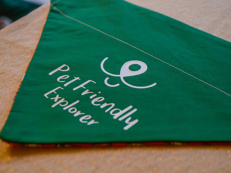 Thumbnail: Pet Friendly Explorer Autumn Bandana