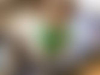 No pooch left behind