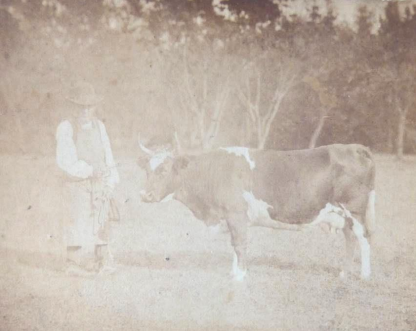 Dumphlun au Journal de 13H de France 2