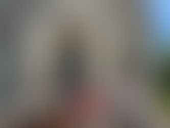 Ouverture à la visite (du 8 juillet au 18 août inclus)