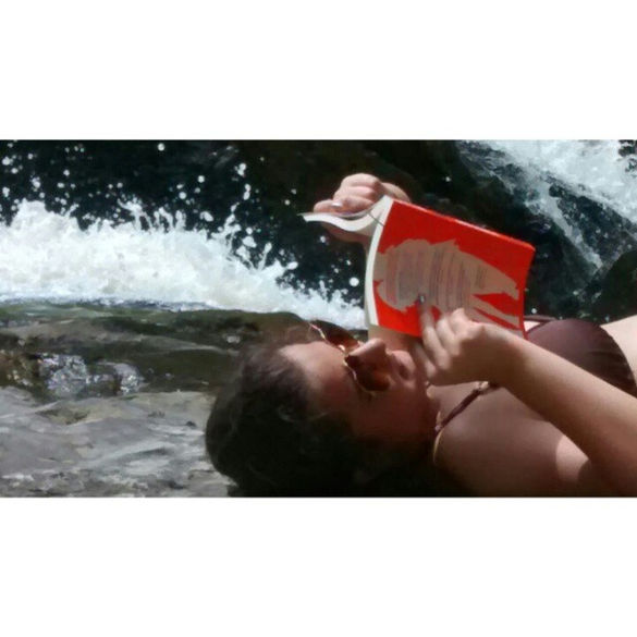 Livro do Mês