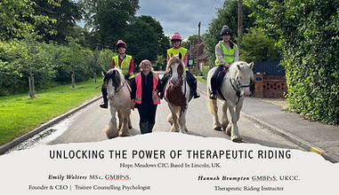 Screenshot 2025-07-14 at 16.55.44.png