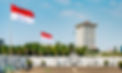 View of Jakarta from Monas Park - the capital of Indonesia_edited.jpg