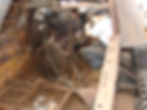 (Body No.4335 Engine No.4428)