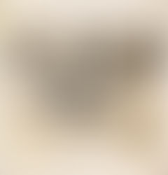 民國42年(主曆1953年),省立花蓮中學初中部長虹足球隊榮獲介壽杯冠軍