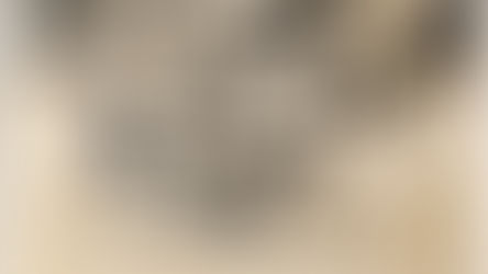 民國42年(主曆1953年),省立花蓮中學初中部長虹足球隊榮獲介壽杯冠軍