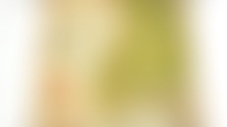 日本帝國,兵庫縣,二,東宮御成婚記念,日本交通分縣地圖(18),(民國14年|1925)大正14年5月15日發行《Black Water Museum Collections | 黑水博物館館藏》