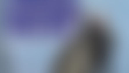 Day I Owned the Sky Hardcover – February 1, 1988, by Robert Lee Scott (Author)