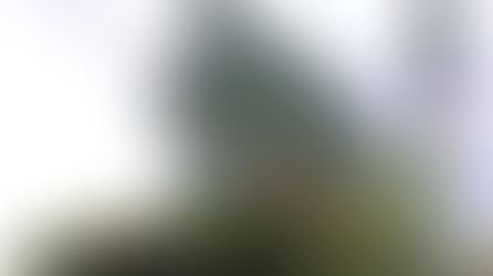 男鹿和雄畫作集 NO.2:吉卜力動畫世界