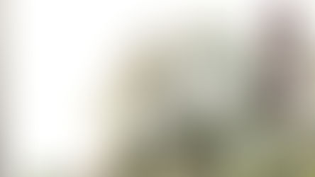 男鹿和雄的吉卜力動畫世界